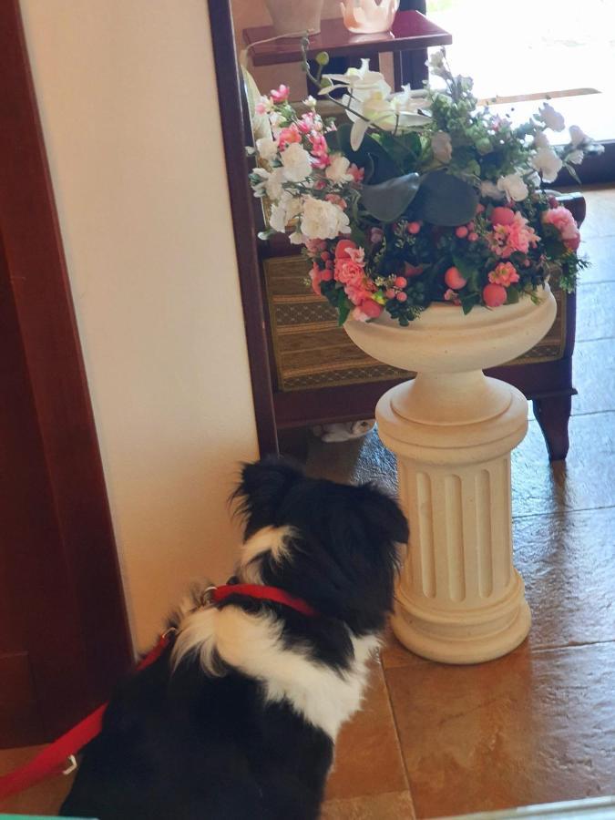 Griko Country Hotel Lecce Bagian luar foto